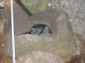 造園 庭石 写真 北海道産 9