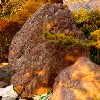 造園 庭石 写真 北海道産 1