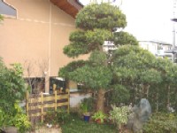 造園 作庭例13-4