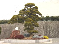 造園 作庭例7-7