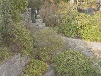 造園 作庭例1-3