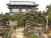 造園 庭木 写真 マキノキ 1